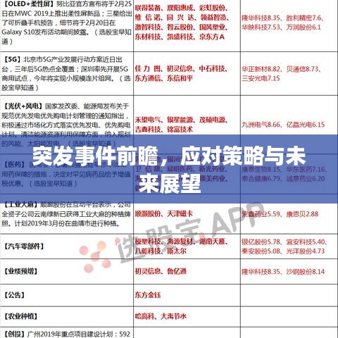 突发事件前瞻，应对策略与未来展望