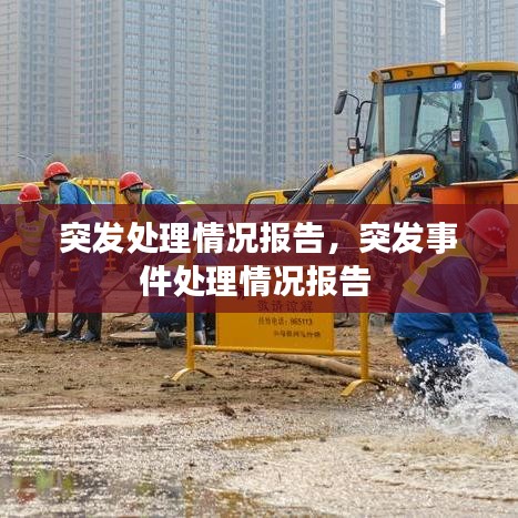 突发处理情况报告，突发事件处理情况报告 