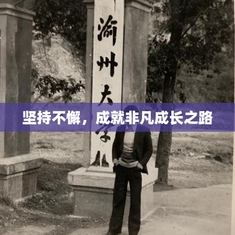 坚持不懈，成就非凡成长之路