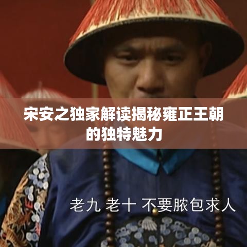 宋安之独家解读揭秘雍正王朝的独特魅力