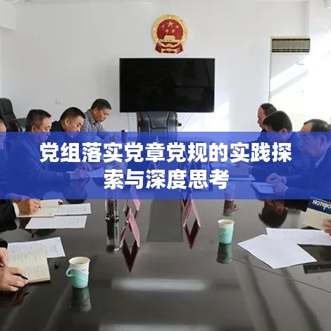 党组落实党章党规的实践探索与深度思考
