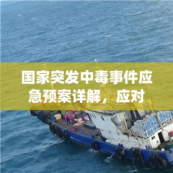 国家突发中毒事件应急预案详解，应对策略与措施