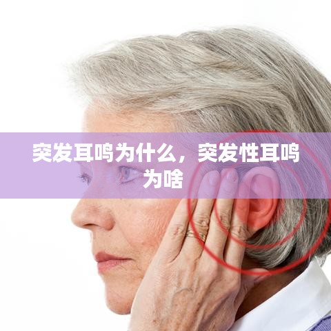 贵冠履轻头足 第2页