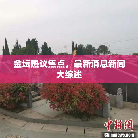 金坛热议焦点，最新消息新闻大综述