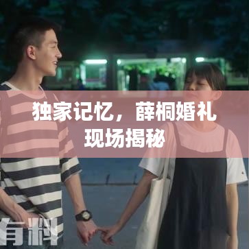 独家记忆，薛桐婚礼现场揭秘