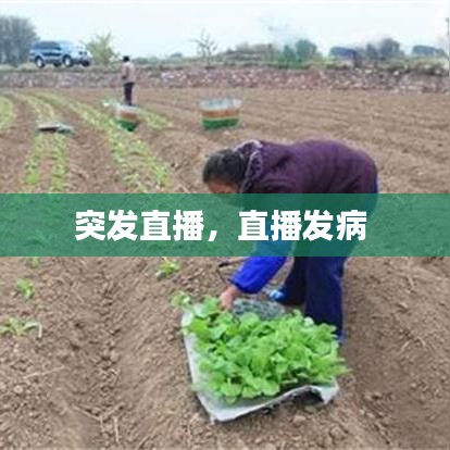 突发直播，直播发病 