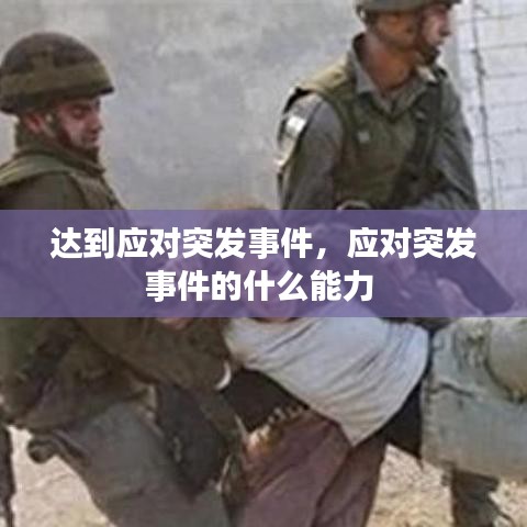 达到应对突发事件，应对突发事件的什么能力 