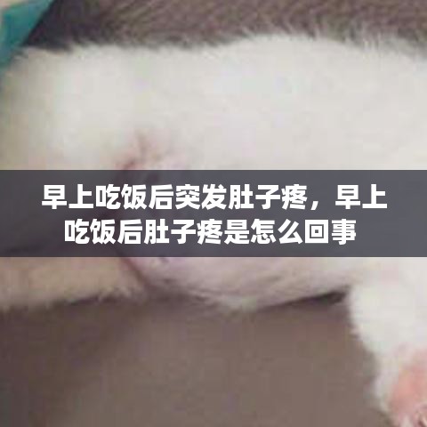 衣不曳地 第2页