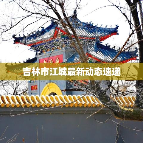 吉林市江城最新动态速递