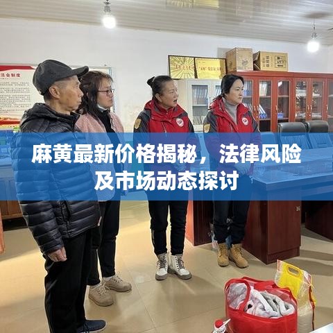 麻黄最新价格揭秘，法律风险及市场动态探讨