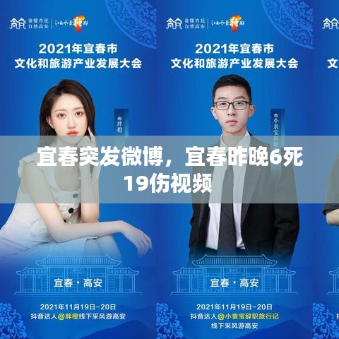 宜春突发微博，宜春昨晚6死19伤视频 