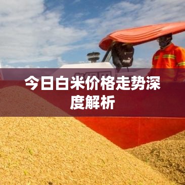 集腋成裘 第2页