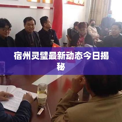 宿州灵璧最新动态今日揭秘
