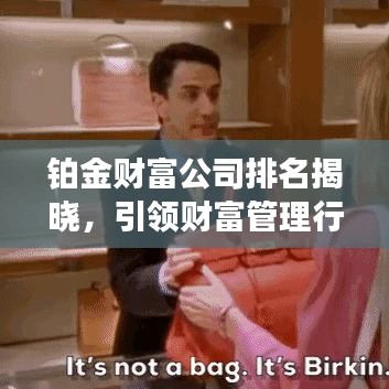铂金财富公司排名揭晓，引领财富管理行业的佼佼者