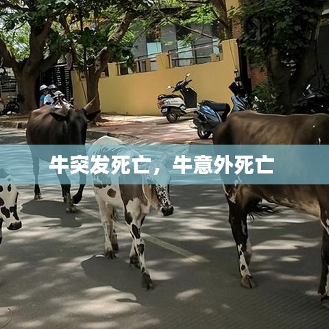 粗心大意 第2页