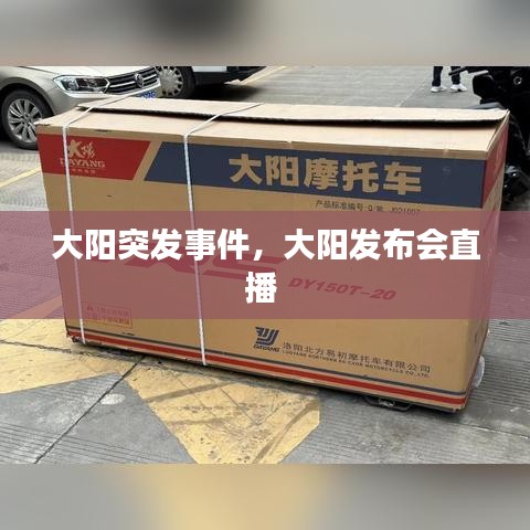 大阳突发事件，大阳发布会直播 
