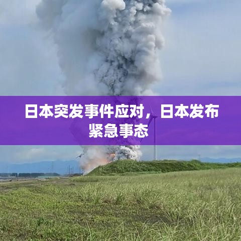 日本突发事件应对，日本发布紧急事态 