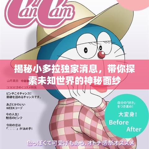 揭秘小多拉独家消息，带你探索未知世界的神秘面纱