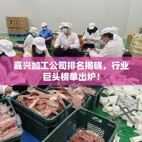嘉兴加工公司排名揭晓，行业巨头榜单出炉！