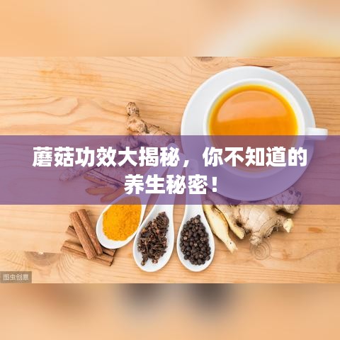蘑菇功效大揭秘，你不知道的养生秘密！
