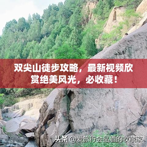 听见风就是雨 第2页