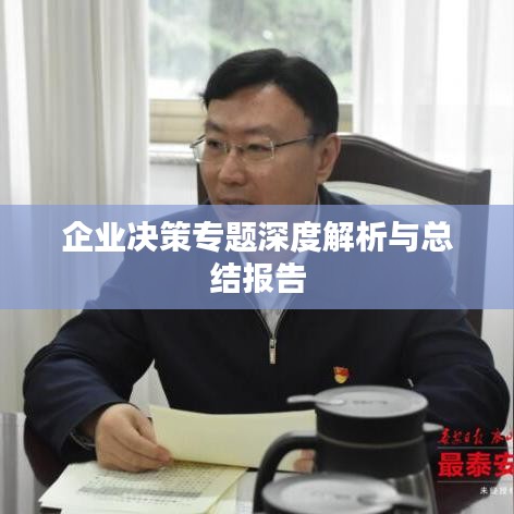 企业决策专题深度解析与总结报告