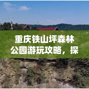 重庆铁山坪森林公园游玩攻略，探秘自然美景，尽享绿意盛宴！
