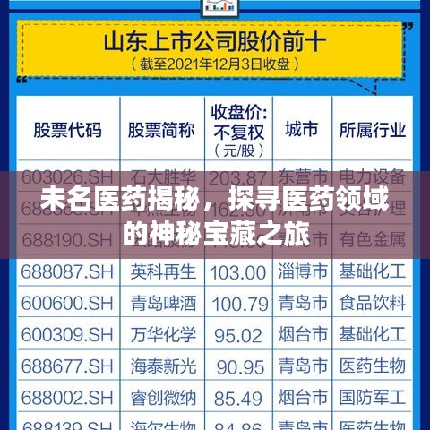 未名医药揭秘，探寻医药领域的神秘宝藏之旅