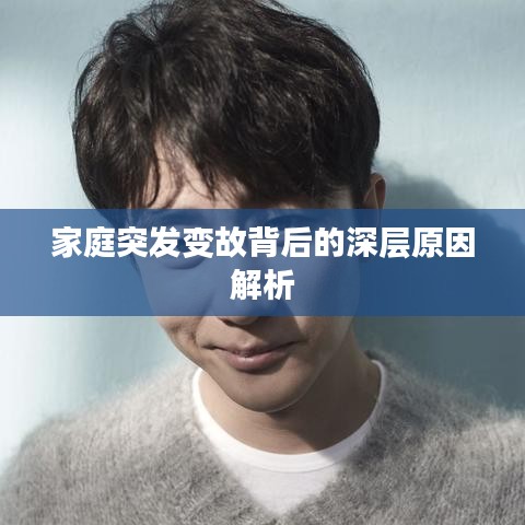 家庭突发变故背后的深层原因解析