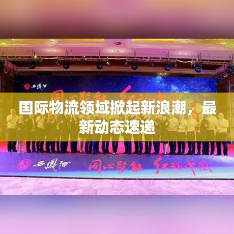 国际物流领域掀起新浪潮，最新动态速递