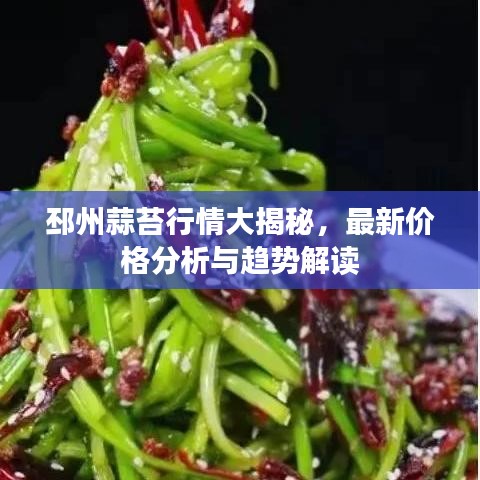 邳州蒜苔行情大揭秘，最新价格分析与趋势解读
