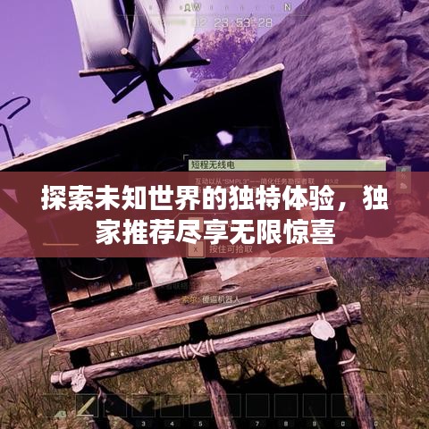 探索未知世界的独特体验，独家推荐尽享无限惊喜