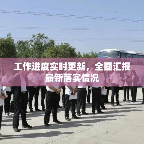 工作进度实时更新，全面汇报最新落实情况