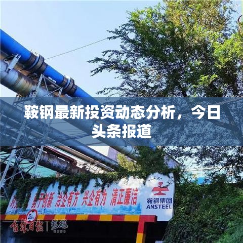 鞍钢最新投资动态分析，今日头条报道