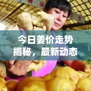 今日姜价走势揭秘，最新动态、市场分析以及影响因素探讨