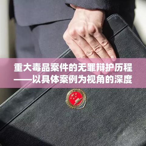 毒品案件无罪辩护深度解析，以案例为视角探讨历程