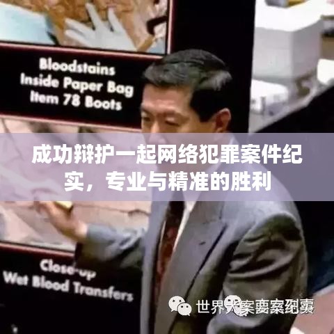 浙江之讼律师事务所成功辩护网络犯罪案件纪实