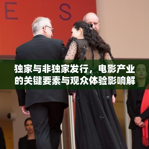 独家与非独家发行，电影产业的关键要素与观众体验影响解析