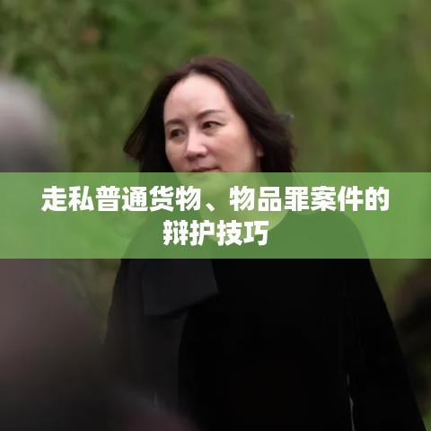 走私货物物品罪案件辩护技巧解析
