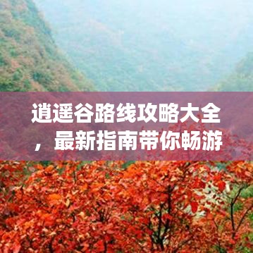 逍遥谷路线攻略大全，最新指南带你畅游仙境！