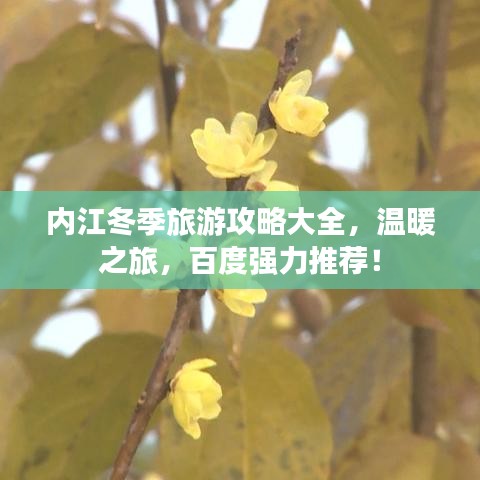 内江冬季旅游攻略大全，温暖之旅，百度强力推荐！