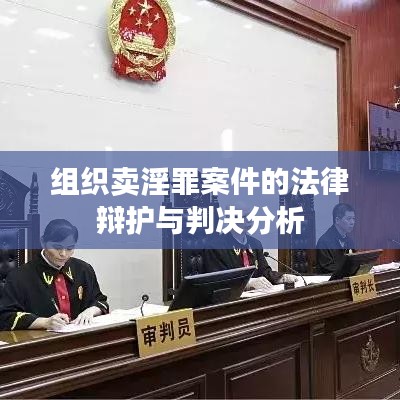 组织卖淫罪案件的法律辩护与判决解读