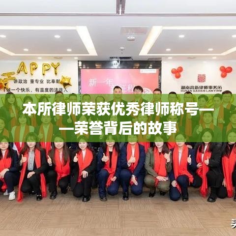 浙江之讼律师事务所律师荣获优秀称号，荣誉背后的故事