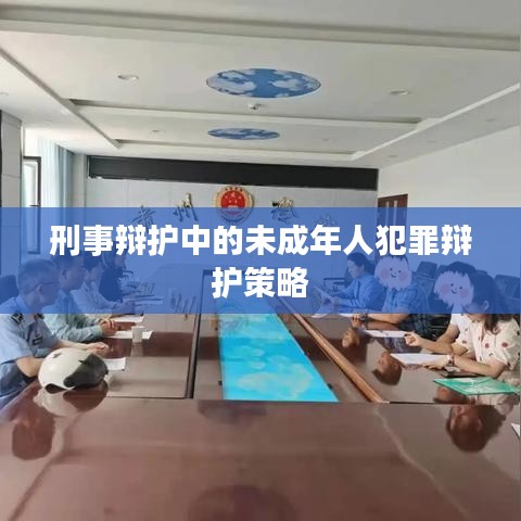 刑事辩护中的未成年人犯罪辩护策略