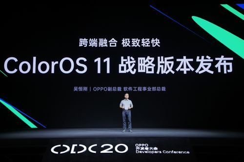 一加5官方壁纸下载,持久性策略解析_ChromeOS_v1.665