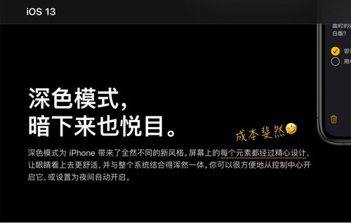 办公软件哪个版本暗黑2精细解析评估_复刻版_v10.195，提升个人与团队效率的关键工具
