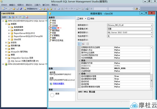 迅雷旧版本,可靠数据解释定义&amp;安卓_v3.238
