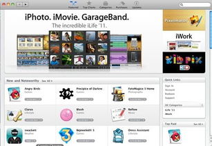 无翼鸟官方app下载,定性分析解释定义 macOS_v8.384