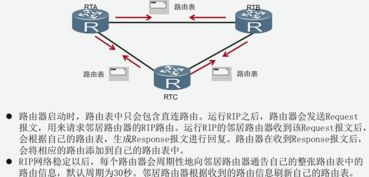 金花提现版本,理论分析解析说明_S_v2.560