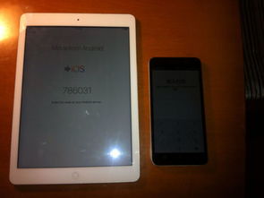 镜子官方下载,实地考察数据执行_iPad_v10.711